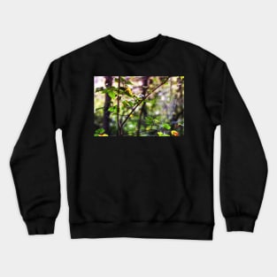 heidiannemorris,Spider web in the woods Crewneck Sweatshirt